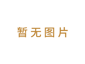 62-00000类：单涂一次性PP漆涂料